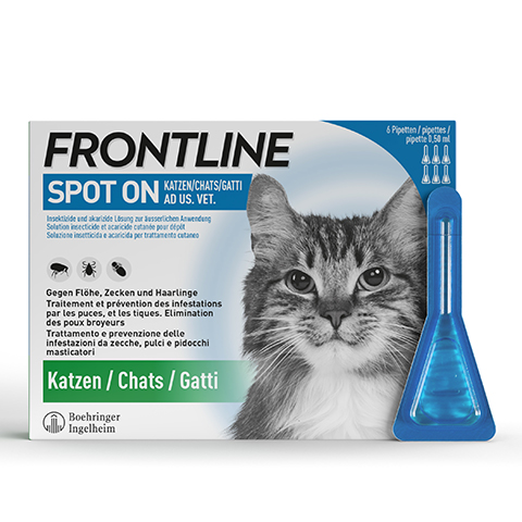 Frontline Spot on Katze Vorderseite
