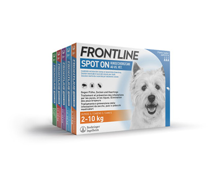 frontline spot-on chien